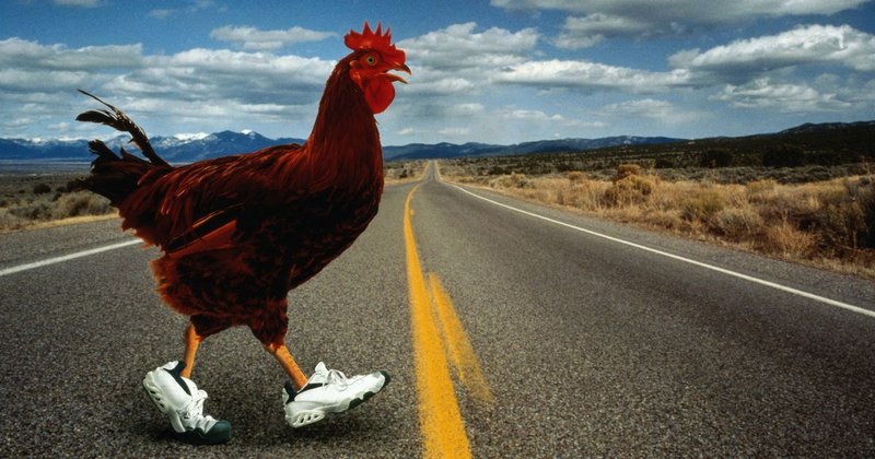 Image: Descubre el Excitante Juego de Azar: Chicken Road en España